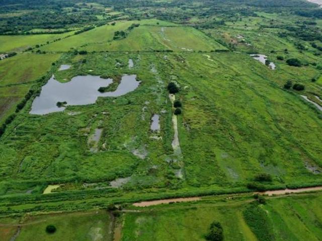 Se Venden 2 Fincas Agrícolas en Pacora. 74 Hectáreas