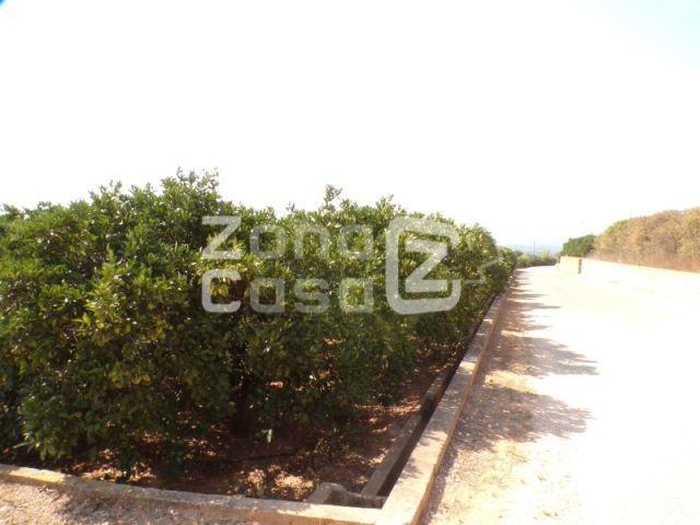 Casa en venta en la Ribera Alta, Valencia