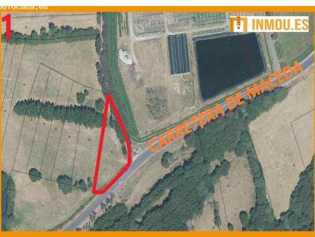 Local Comercial en venta en Allariz-Maceda, Galicia