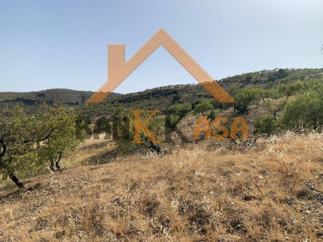 Terreno en venta en Comarca de la Costa Granadina, Andalucía