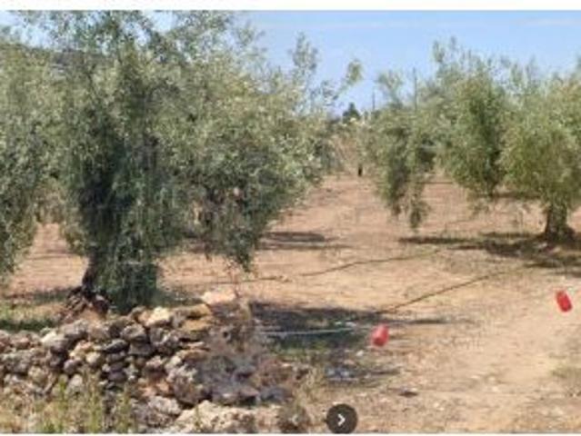 Local Comercial en venta en el Baix Maestrat, Valencia