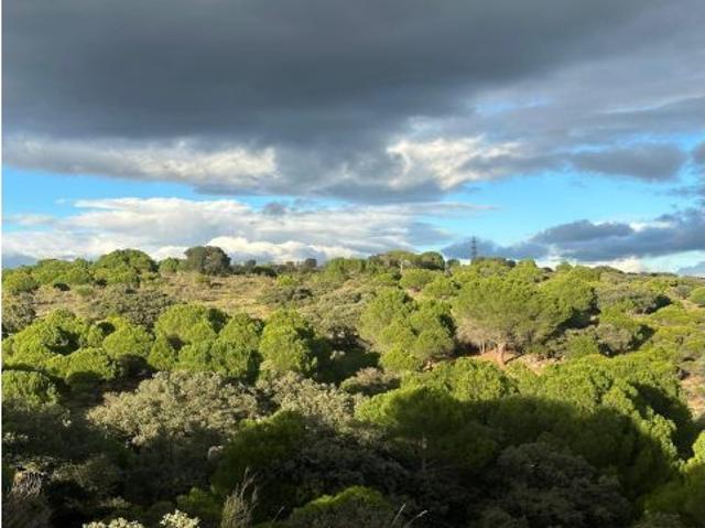 Local Comercial en venta en El Morro, Navas Del Rey