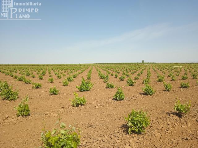 Terreno en venta en Socuéllamos, Castilla-La Mancha