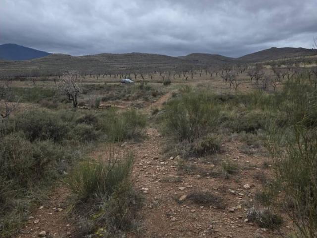 Terreno en venta en Aranda, Aragón