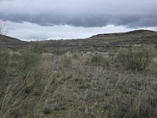 Terreno en venta en Aranda, Aragón
