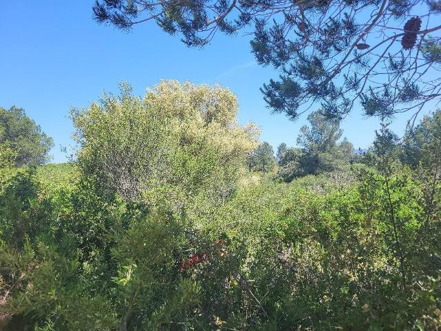 Terreno en venta en Vall D'alba, Valencia