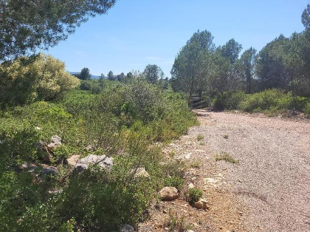 Terreno en venta en la Plana Alta, Valencia