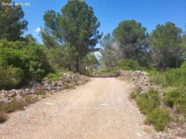 Local Comercial en venta en la Plana Alta, Valencia