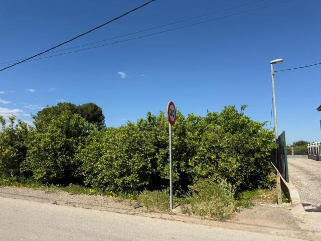 Terreno en venta en Los Torraos, Vega Media del Segura
