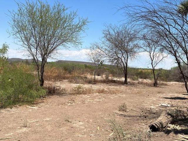 Se venden hectareas en General Cepeda