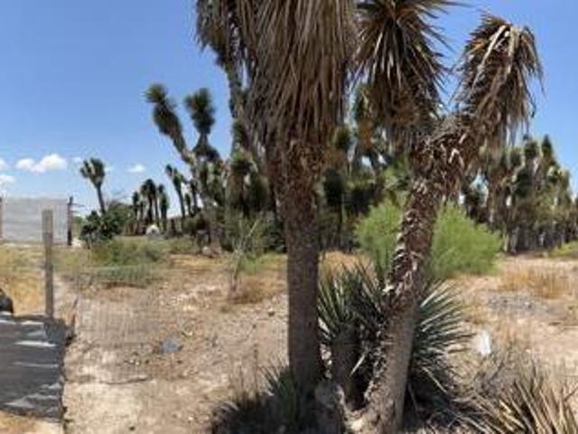 Se venden hectareas en General Cepeda