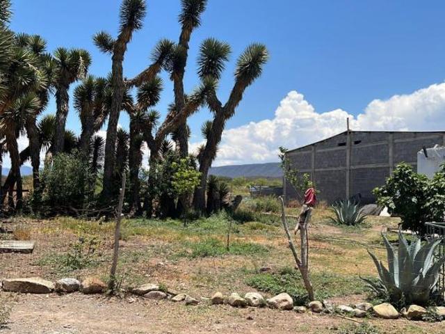 Se venden hectareas en General Cepeda
