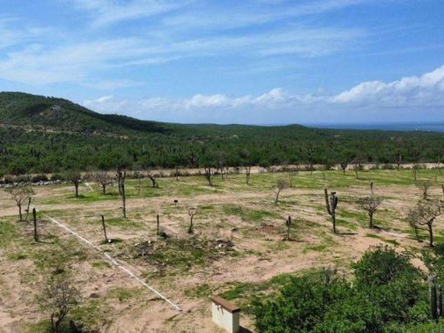 Terreno en venta en Los Cabos, Baja California Sur