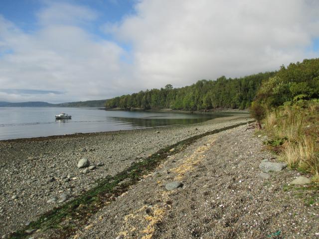 SE VENDEN PARCELAS BAHIA COMPU, CHILOE