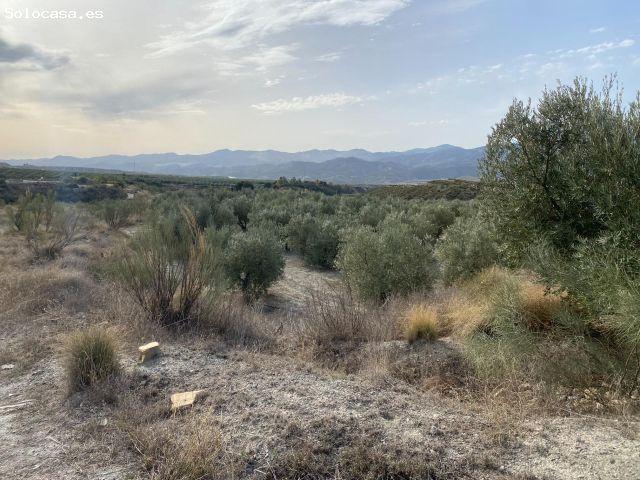 Local Comercial en venta en Valle del Almanzora, Andalucía