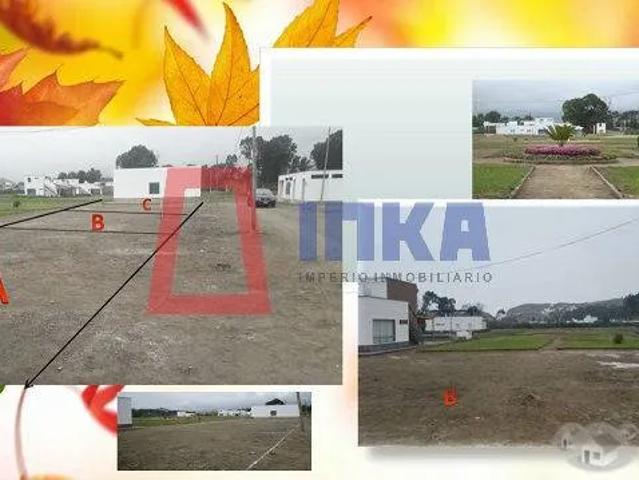 Terreno alquiler en Canete, Lima Metropolitana
