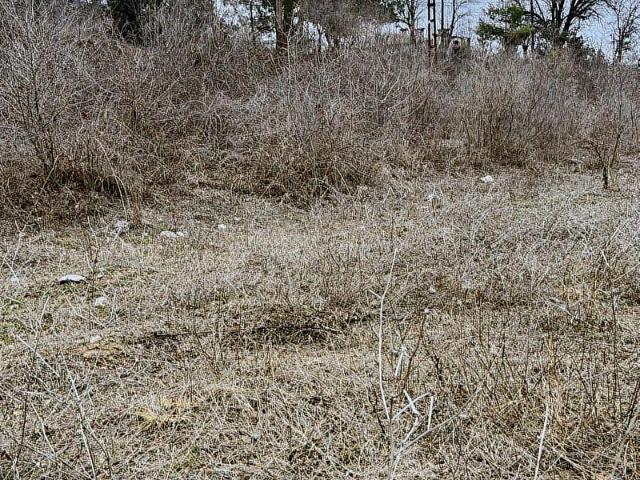 Tarsus, Mersin içerisinde satılık Arsa