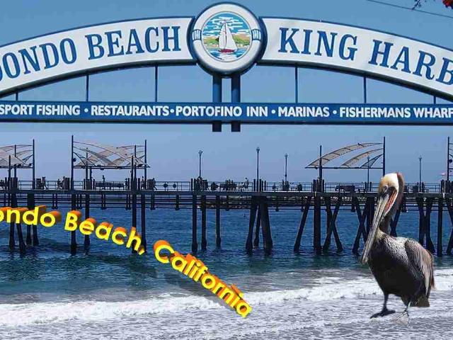 Apartment for rent in Redondo Beach, California
