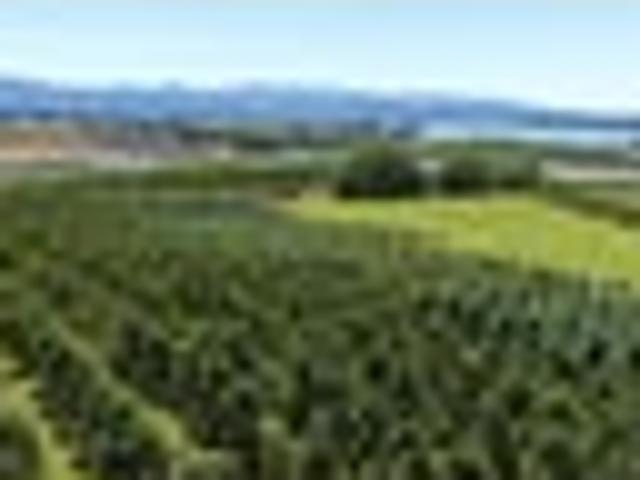 Land for sale in Tasman