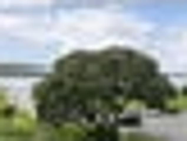 House for sale in Hataitai, Wellington