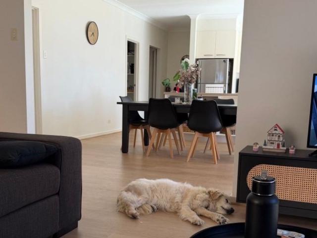 Room for rent in Horseshoe Creek, South Australia