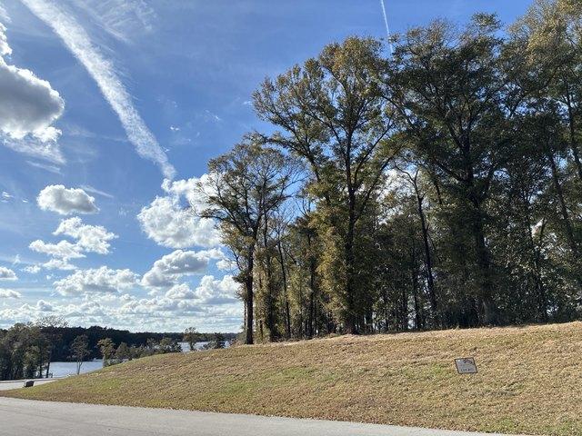 Land for sale in Walton, Florida