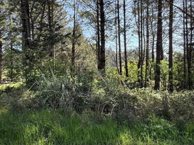 Land for sale in Humboldt, California