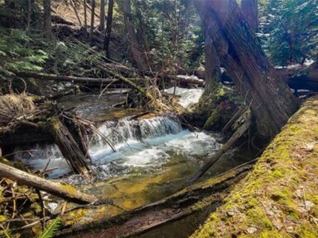 Land for sale in Troy