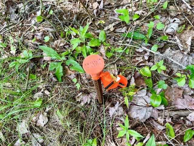 Land for sale in Southwest Harbor, Maine