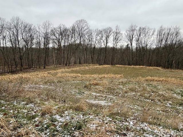 Land for sale in Philo, Ohio