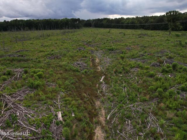Land for sale in Choctaw, Mississippi