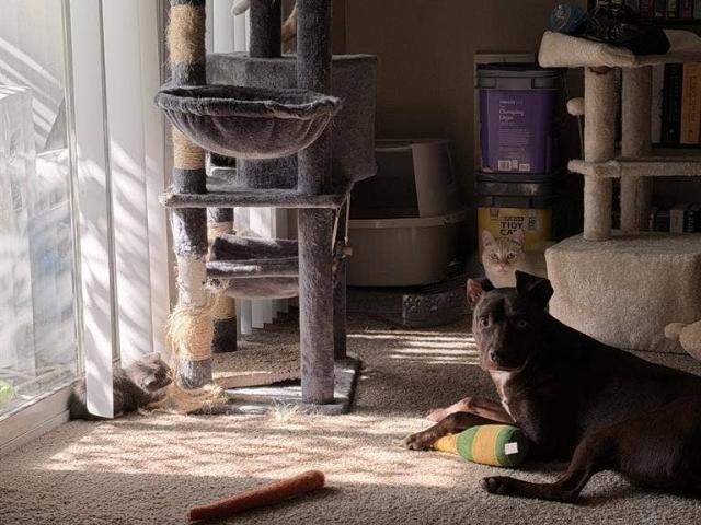 Room for rent in Vancouver, Washington