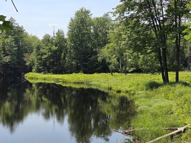 Land for sale in Waldo, Maine