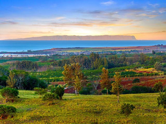 Land for sale in Kalaheo, Kauaʻi County