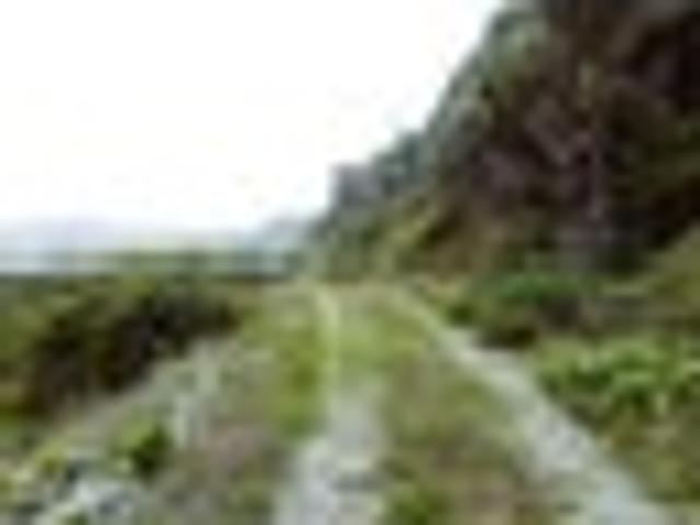 Land for sale in West Coast