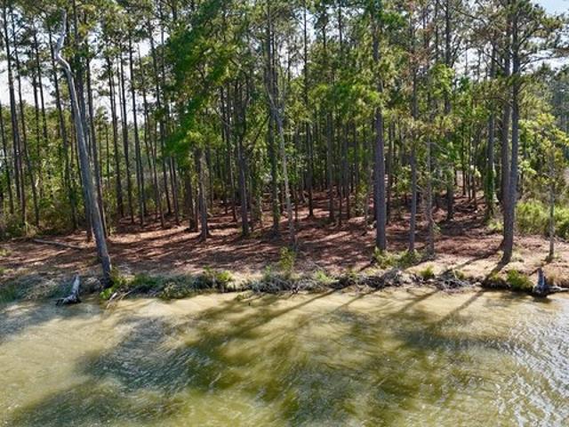 Land for sale in Bath, North Carolina