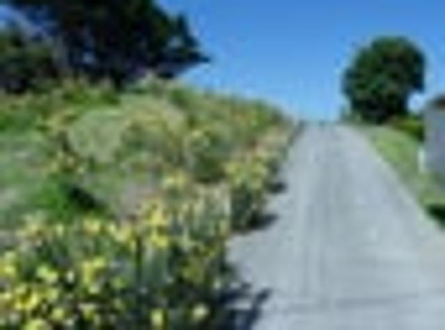 Land for sale in Taranaki