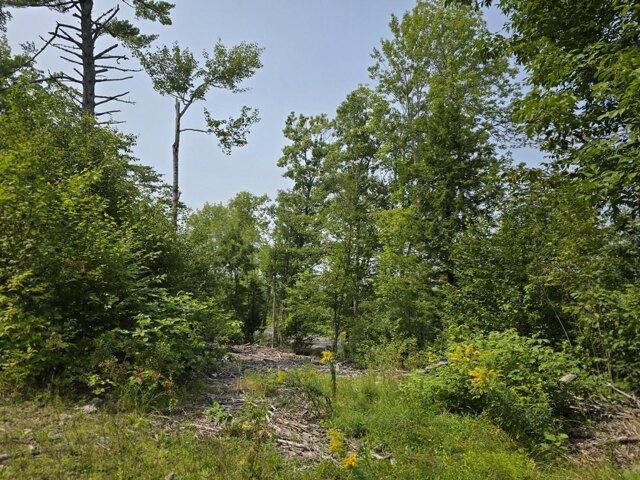 Land for sale in Sebec, Maine