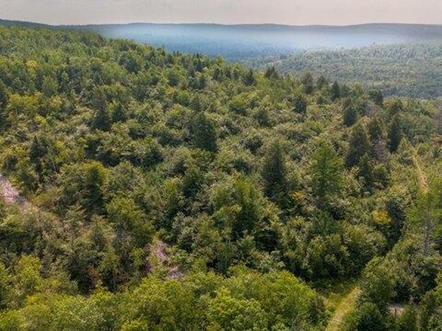 Land for sale in Barnard Township, Sebec