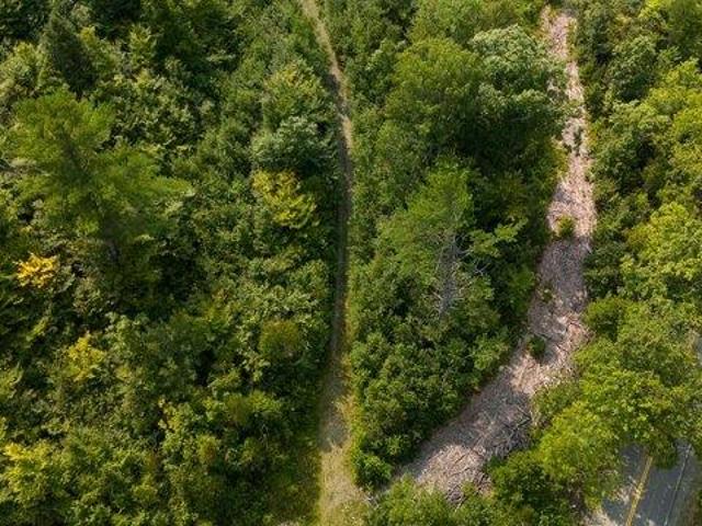 Land for sale in Barnard Township, Sebec