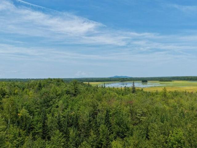 Land for sale in Seboeis Plantation, Howland