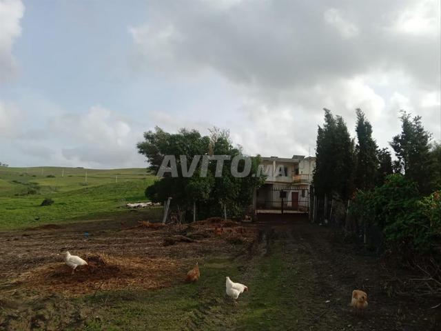 Propriété vente à Tangero, Tanger-Tétouan