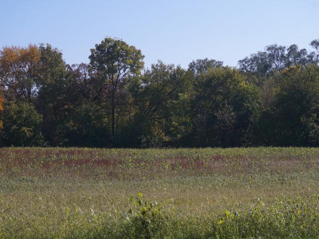 Land for sale in Channahon, Illinois
