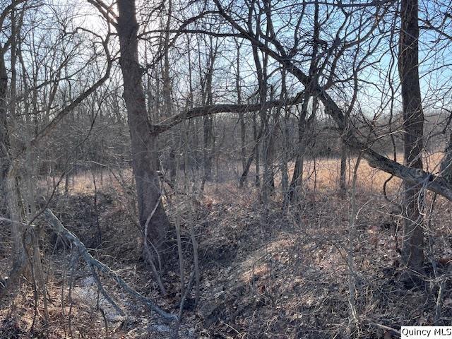 Land for sale in Adams, Illinois