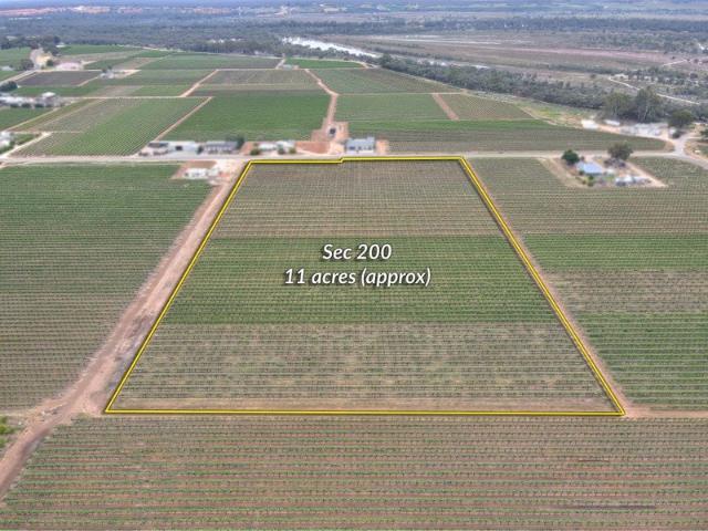 Land for sale in Lyrup, Renmark Paringa Council
