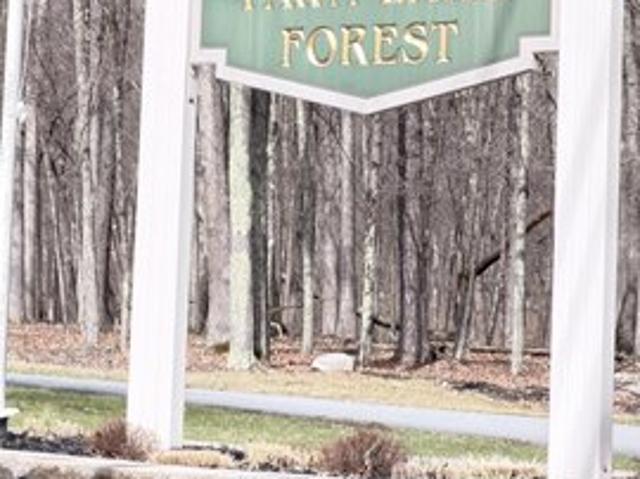 Land for sale in Lackawaxen, Lackawaxen Township