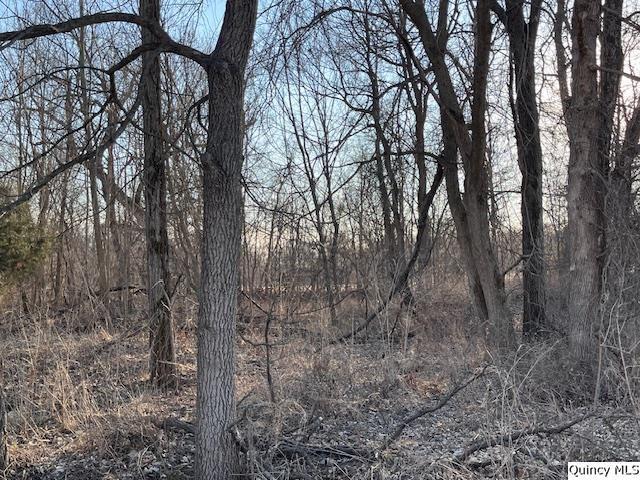 Land for sale in Adams, Illinois