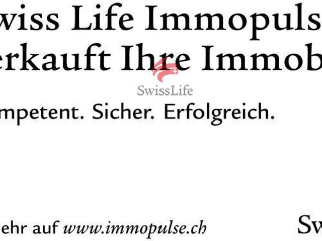 Einfamilienhaus kaufen in Altdorf (UR), Uri