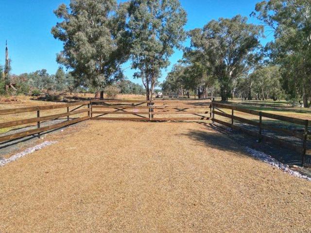 Land for sale in Billimari, New South Wales