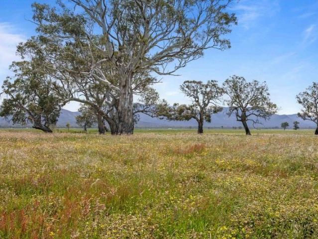 Acreage for sale in Willaura North, Victoria